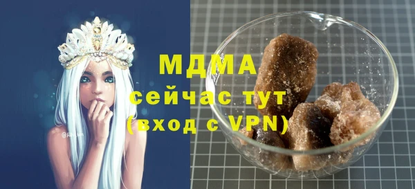 индика Алзамай