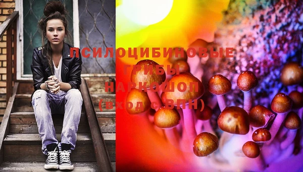 спиды Алексеевка