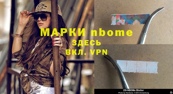 индика Алзамай