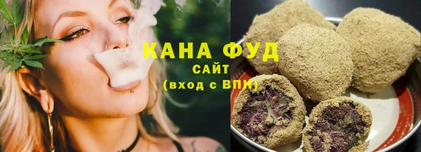 индика Алзамай