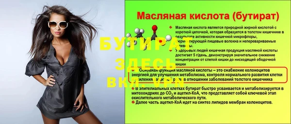 шишки Кодинск