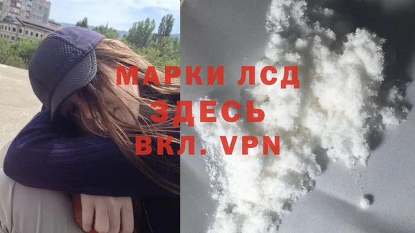 индика Алзамай