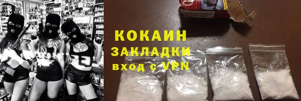 индика Алзамай
