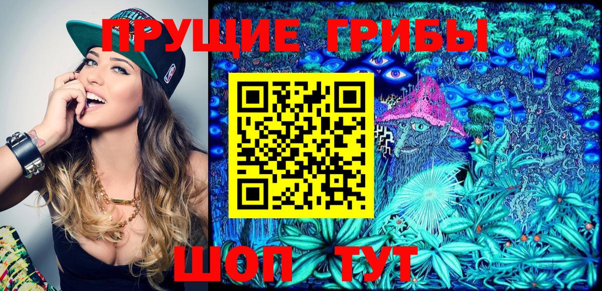 Магадан  Псилоцибиновые грибы GOLDEN TEACHER  Вход с VPN  Псилоцибиновые грибы ЛСД 