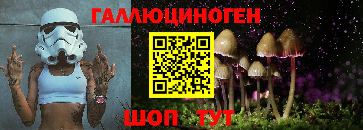 Псилоцибиновые грибы мицелий Магадан